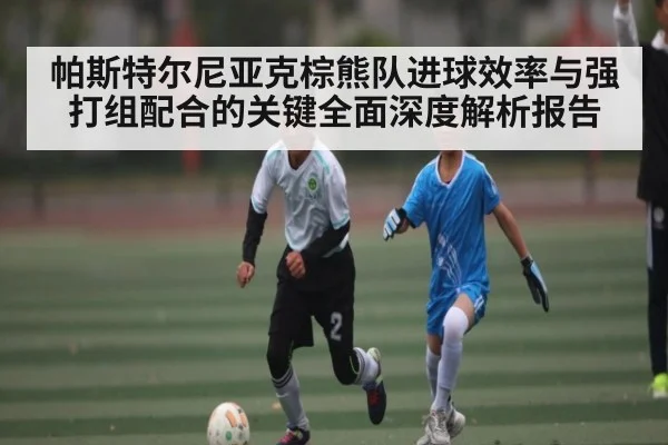 帕斯特尔尼亚克棕熊队进球效率与强打组配合的关键全面深度解析报告
