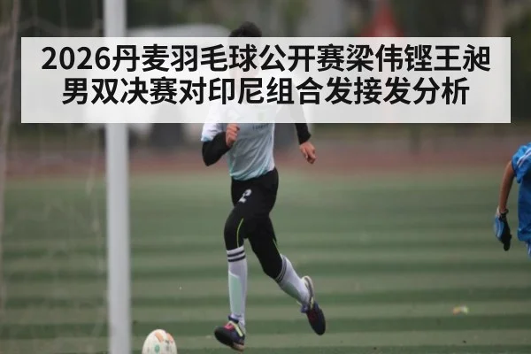 2026丹麦羽毛球公开赛梁伟铿王昶男双决赛对印尼组合发接发分析